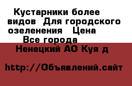 Кустарники более 100 видов. Для городского озеленения › Цена ­ 70 - Все города  »    . Ненецкий АО,Куя д.